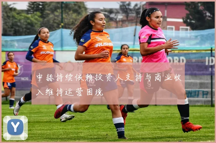 中赫持续依赖投资人支持与商业收入维持运营困境